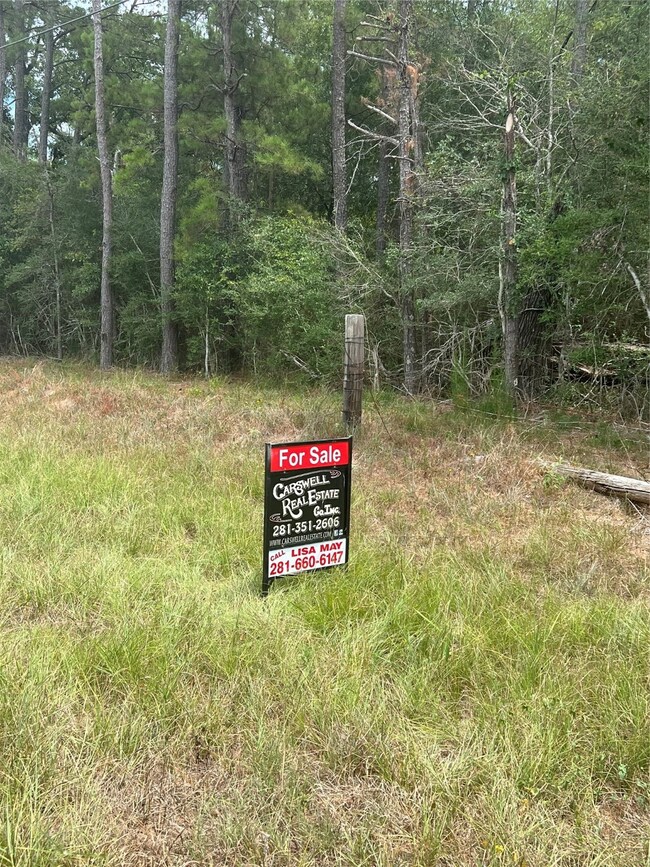 25713 Joseph Rd, Hockley, TX 77447 - photo 6