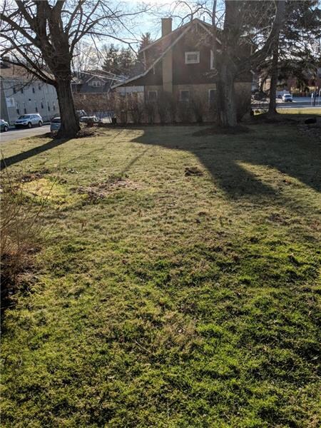 Nice level back yard.