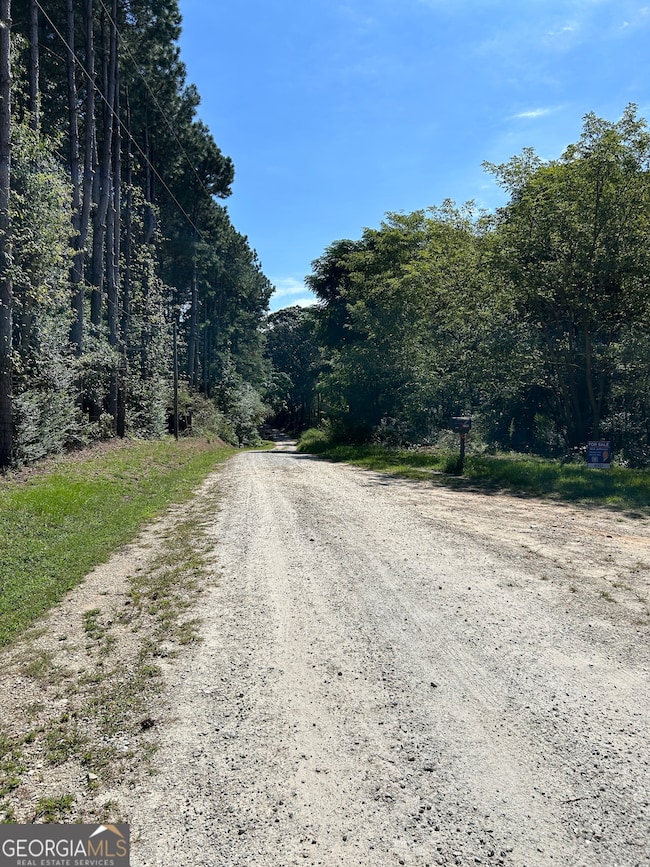 0 LOT A Jess Guest Rd, Bowman, GA 30634 - photo 5