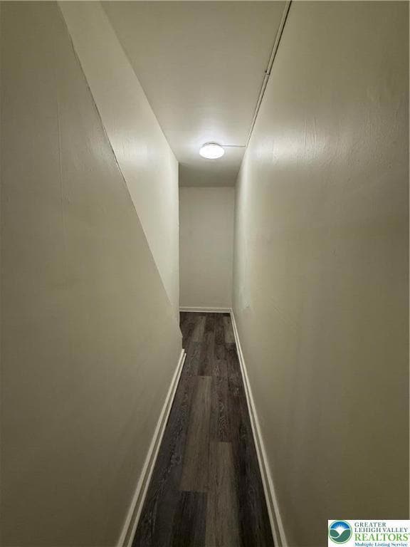 81 Dana St unit 2, Wilkes Barre, PA 18702 - photo 5