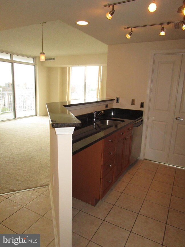 The Crescent unit 1203, Silver Spring, MD 20910 - photo 5