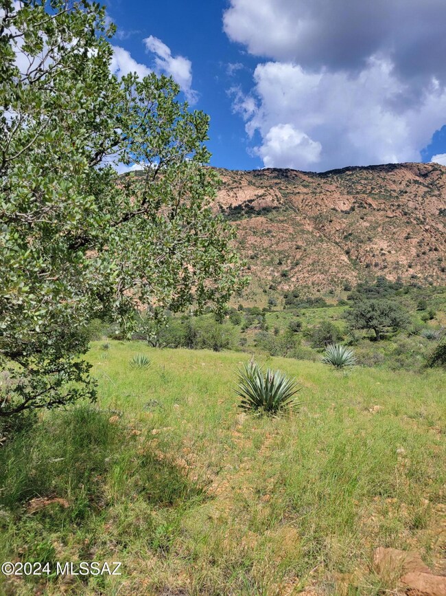 Hannon Ranch; Grass; Unk 2024; (2)