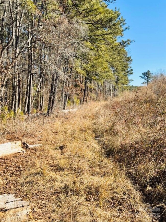 24 ac S Carolina 9, Wallace, SC 29596 - photo 7