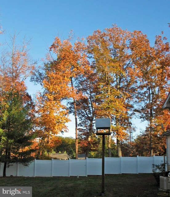 28515 Laurel Canyon Blvd, Rhoadesville, VA 22542 - photo 6