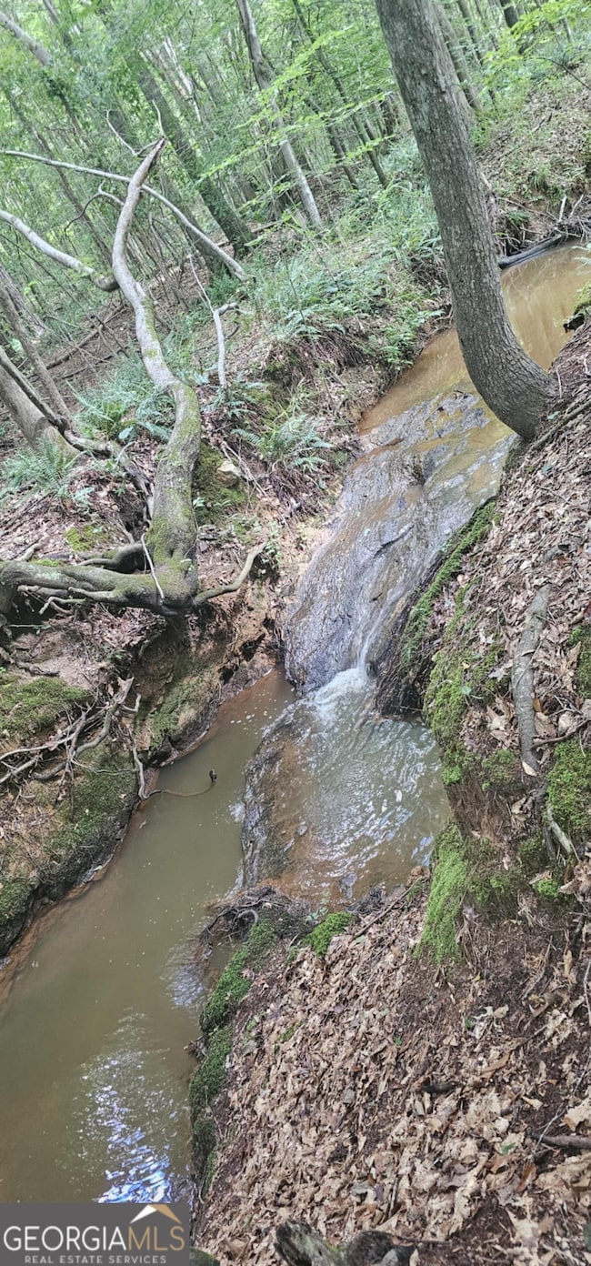 2082 Stroud Rd, Jackson, GA 30233 - photo 6
