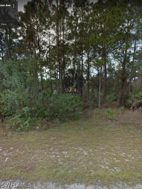 2017 Jefferson Ave, Alva, FL 33920 - photo 3