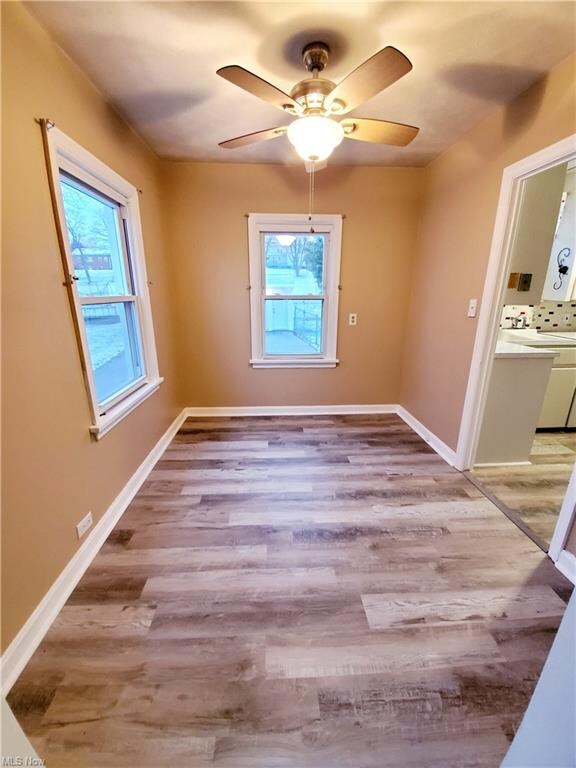 29134 Elm Ave, Wickliffe, OH 44092 - photo 5