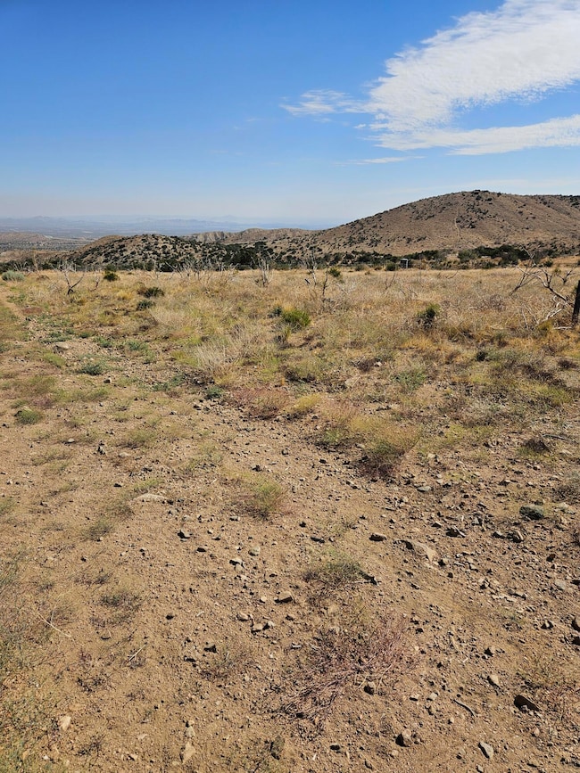 0 E Vic 118 Ste Ave unit 214 25001190, Juniper Hills, CA 93543 - photo 5