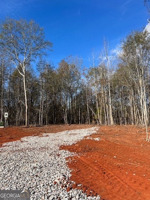 148 Berry Rd, Barnesville, GA 30204 - photo 2