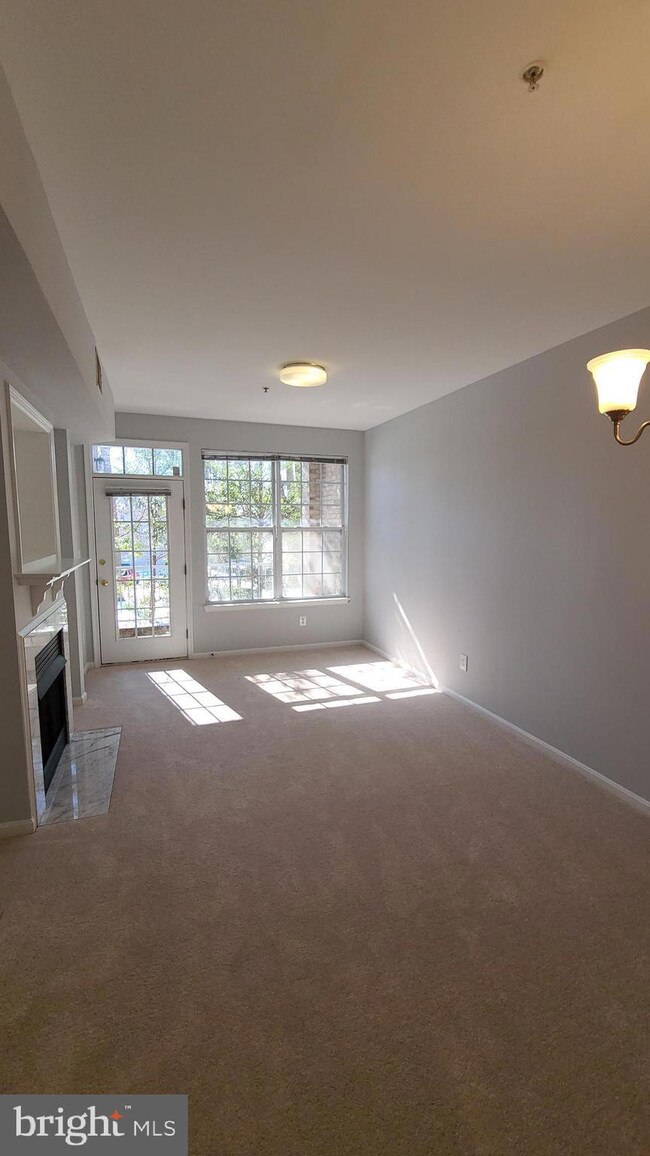 2665 Manhattan Place unit 103, Vienna, VA 22180 - photo 7