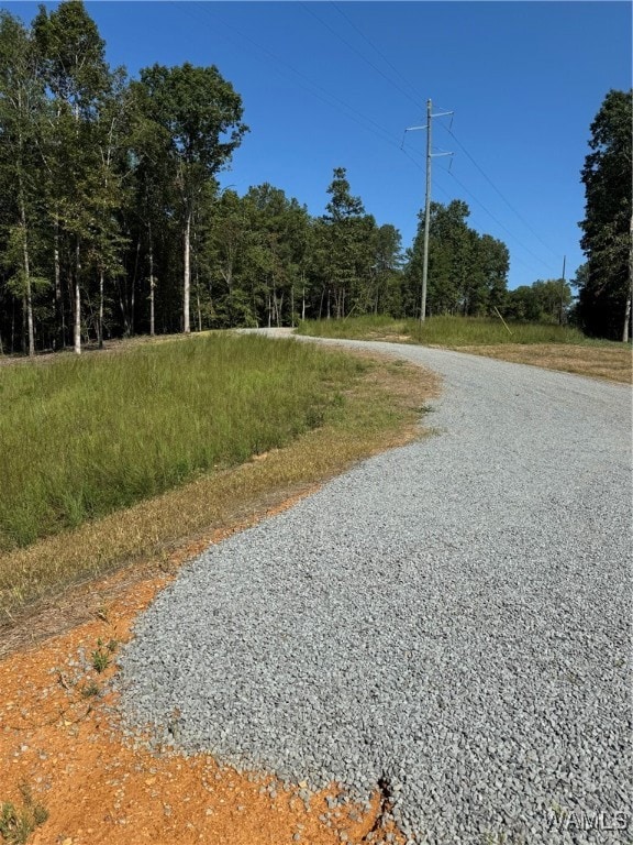 View of Driveway