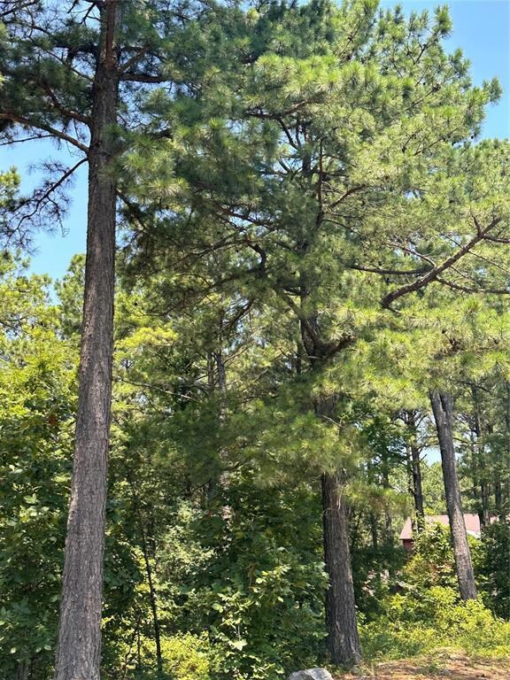 202 Crooked Cedar Trail, Hochatown, OK 74728 - photo 3