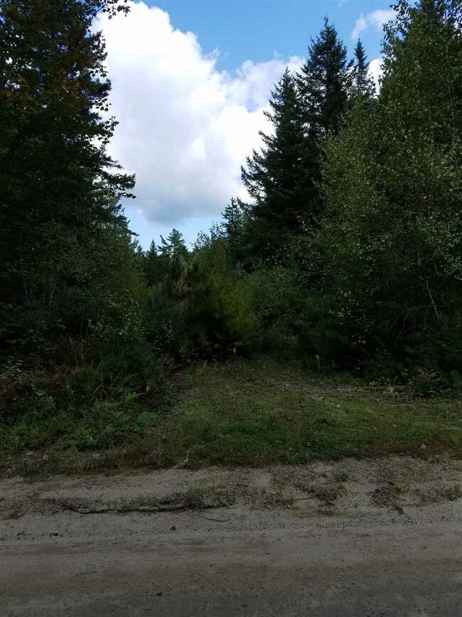 Original Driveway that serves lot 9 and 10 New Rd.