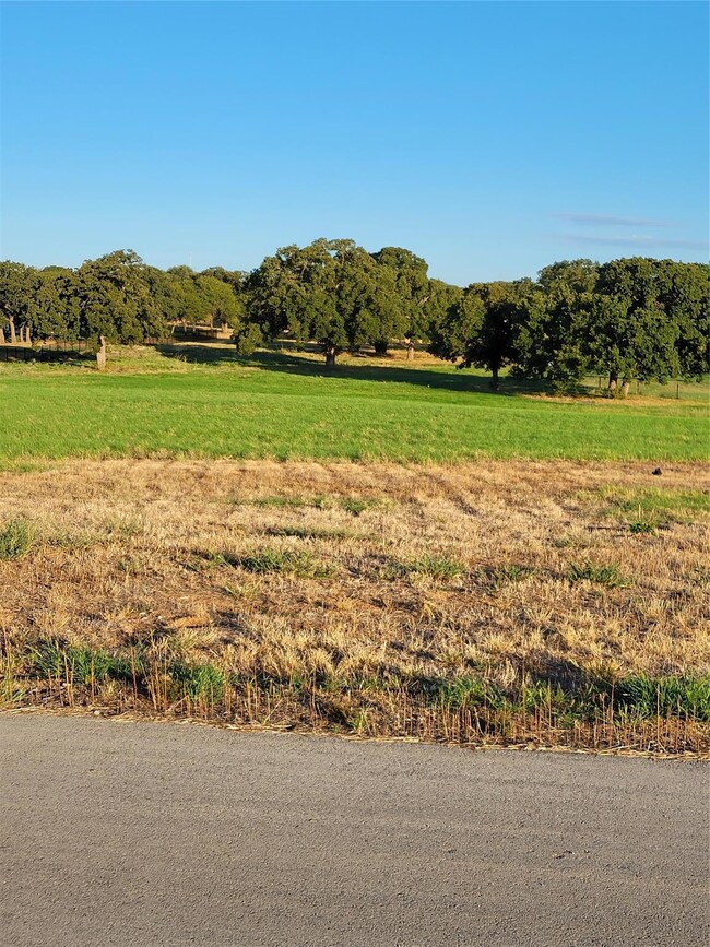 4004 Margaret's Meadow, Weatherford, TX 76087 - photo 5