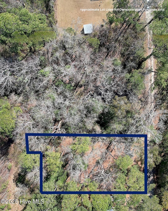 1574 Hollywood St SW, Shallotte, NC 28470 - photo 6