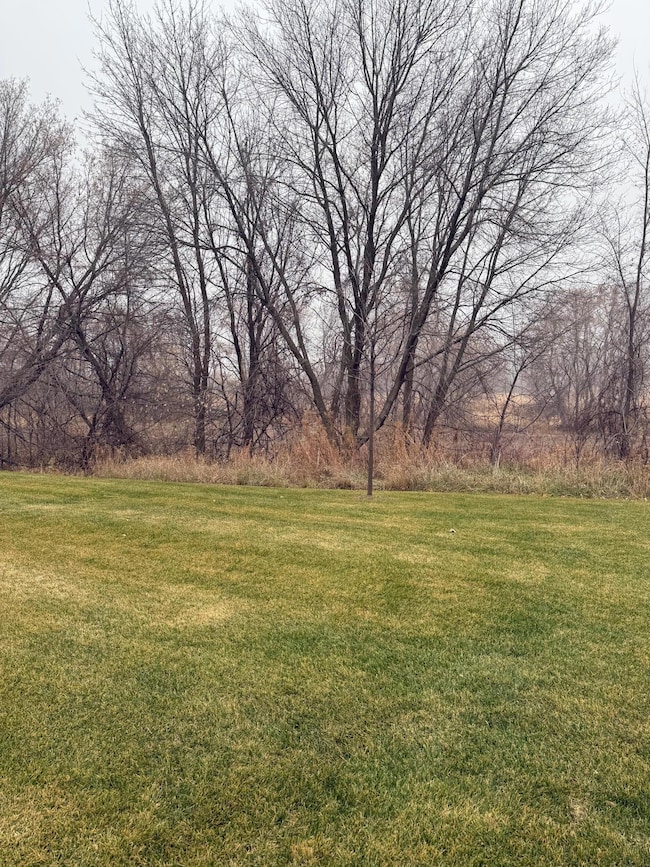 19142 Grass Lake Trail, Rogers, MN 55374 - photo 5