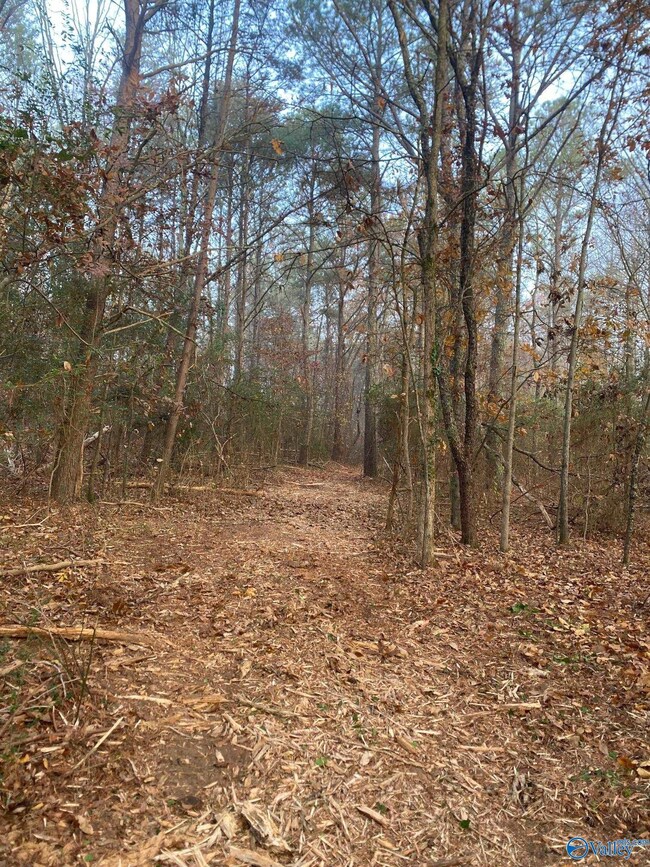 4+/- Acres Mount Carmel Dr, Guntersville, AL 35976 - photo 5