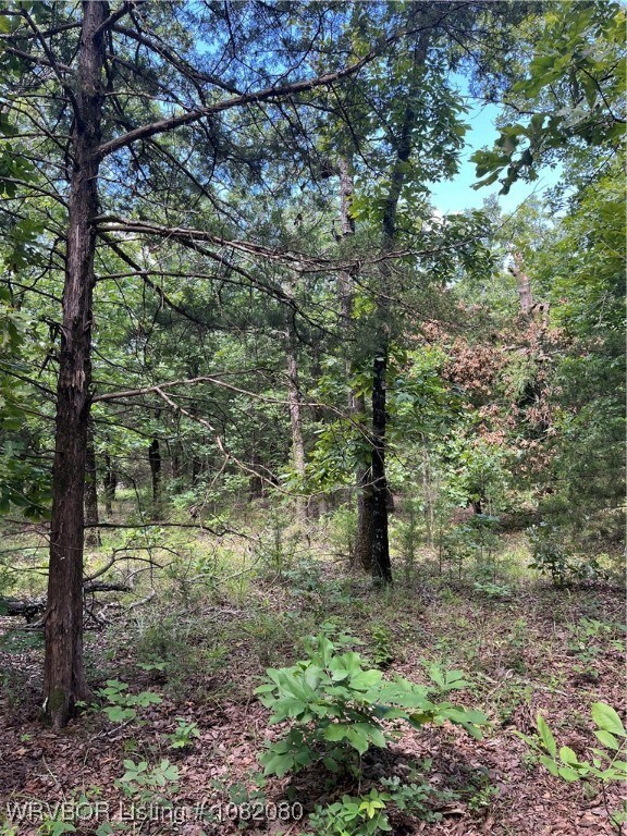 Tract 7 SE 1083rd Ave, Red Oak, OK 74563 - photo 4