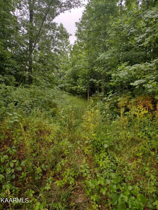 IMG_20220606_175837508_HDR