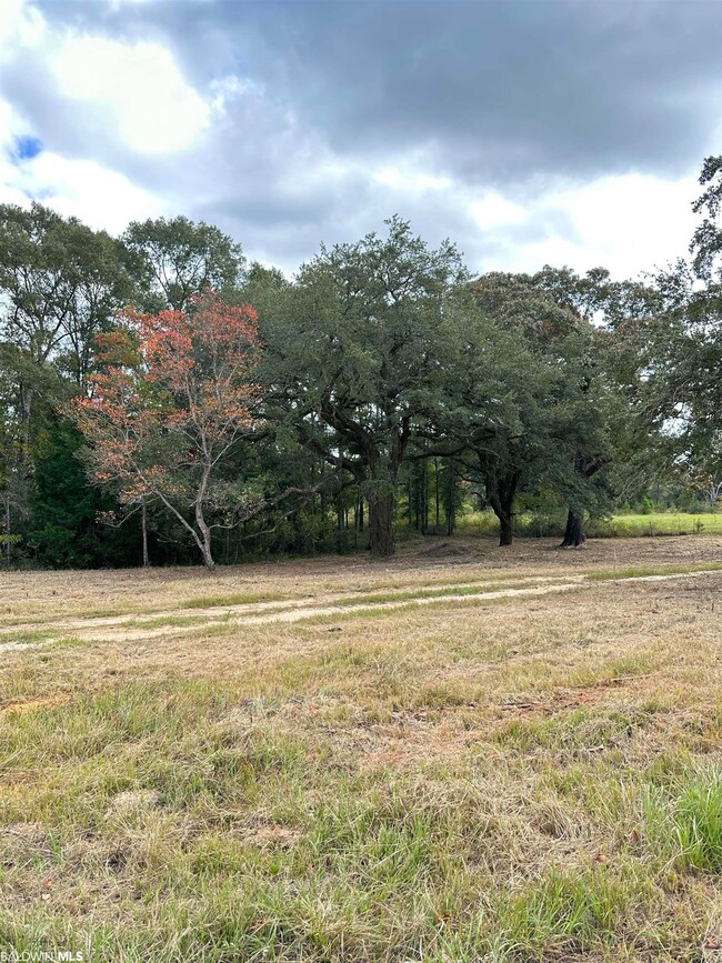 0 Hampton Ridge Ct unit Lot 50 351764, Mobile, AL 36608 - photo 6