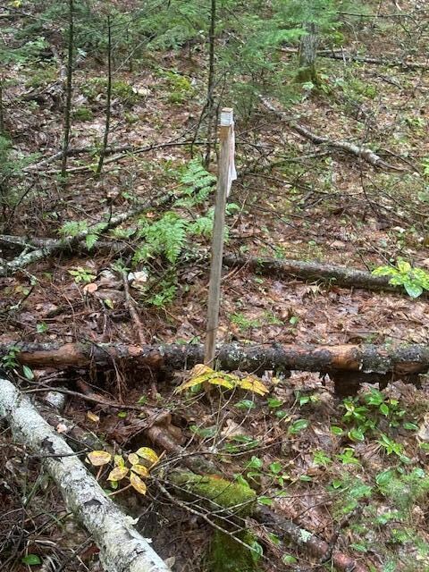#3- Soils tested
