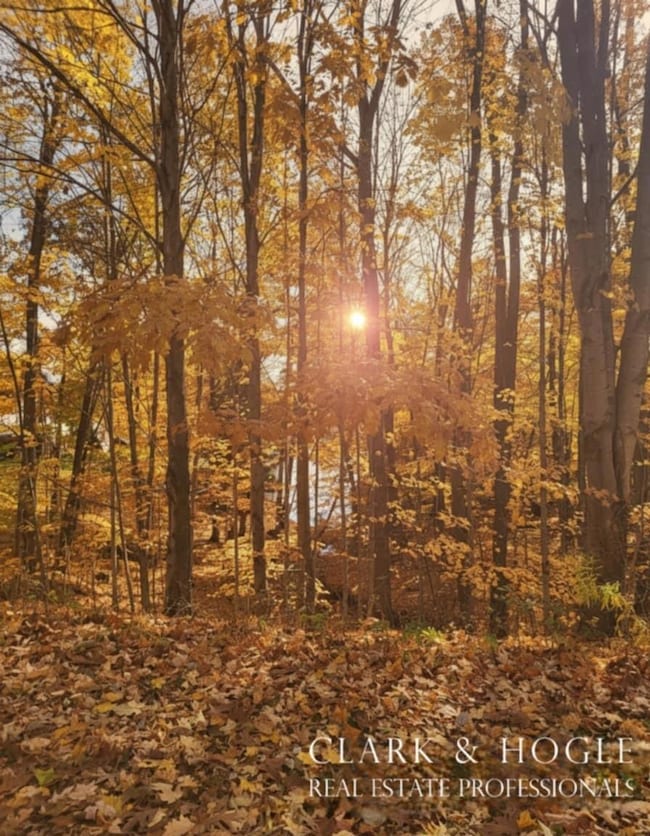 fa27fe6d-0e9a-4857-acb3-7bfdf31ae18e