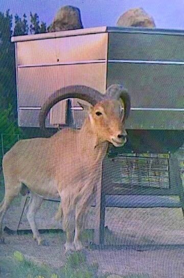 Rd, Comstock, TX 78837 - photo 5