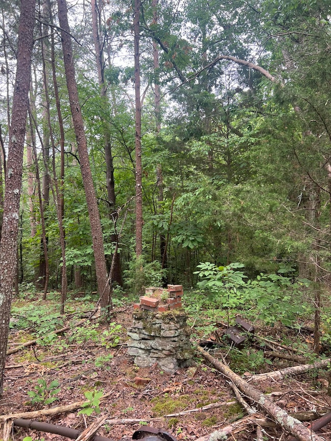 unnamed (4)