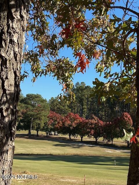 looking across the fairway from the lot