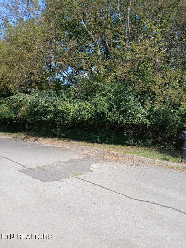 161 Trail View Dr, Loudon, TN 37774 - photo 3