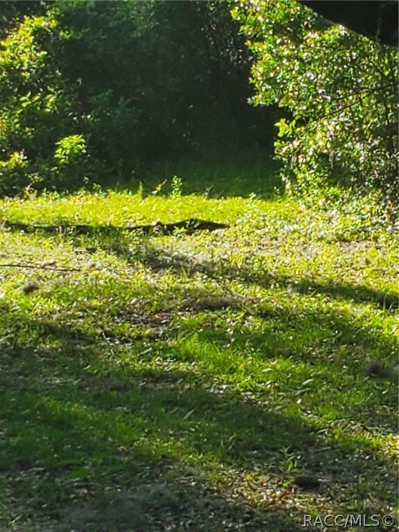 2214 E Keepsake Ln, Hernando, FL 34442 - photo 5