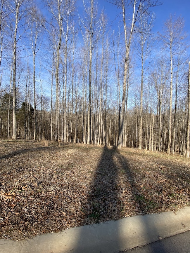 4434 Memory Ln, Adams, TN 37010 - photo 7