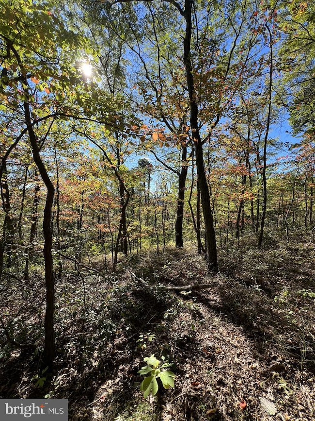 Lot 12 Mountain Falls Blvd, Winchester, VA 22602 - photo 4