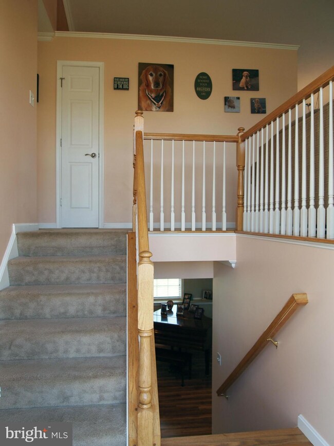 104 Vale Ct, Winchester, VA 22602 - photo 2