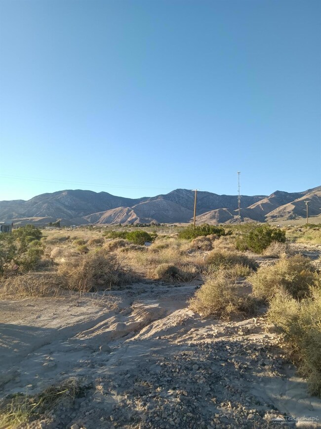 0 Rockhouse Rd unit 9990117, Mojave, CA - photo 3