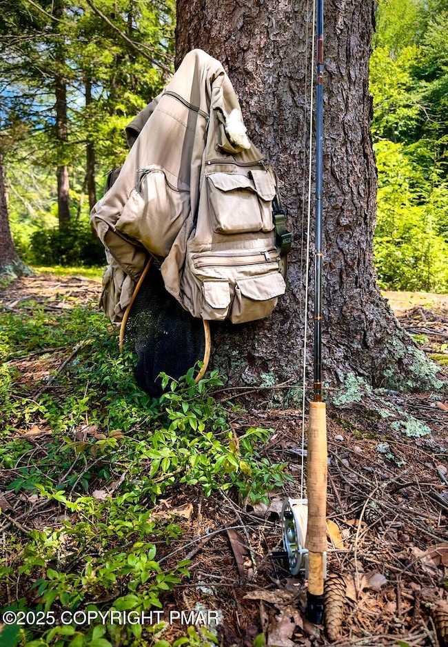 614 Graystones Jeras Lot Av-4 Rd, Albrightsville, PA 18210 - photo 4