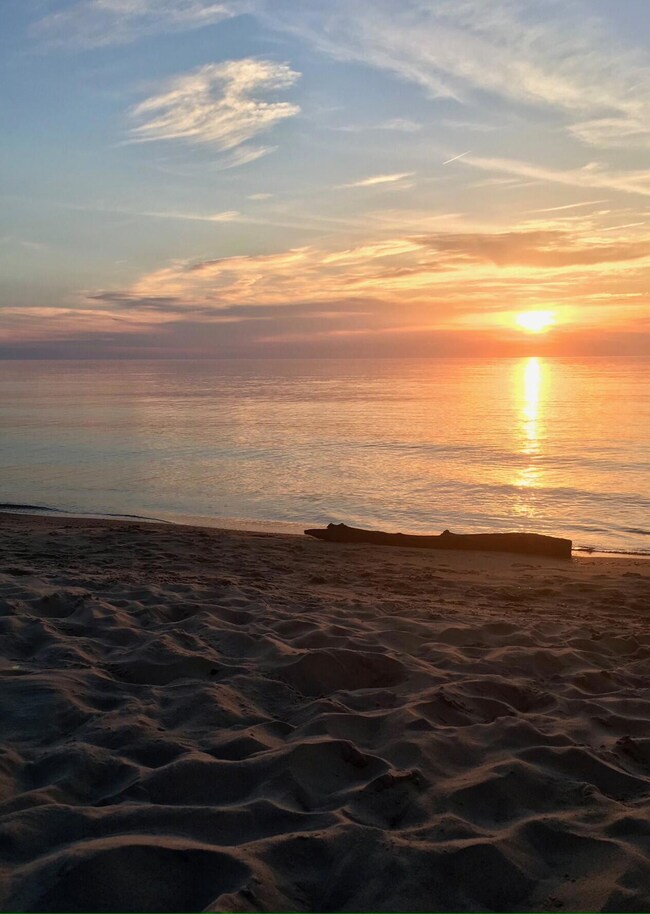 0 N Red Arrow Hwy unit 24007952, Sawyer, MI 49125 - photo 7