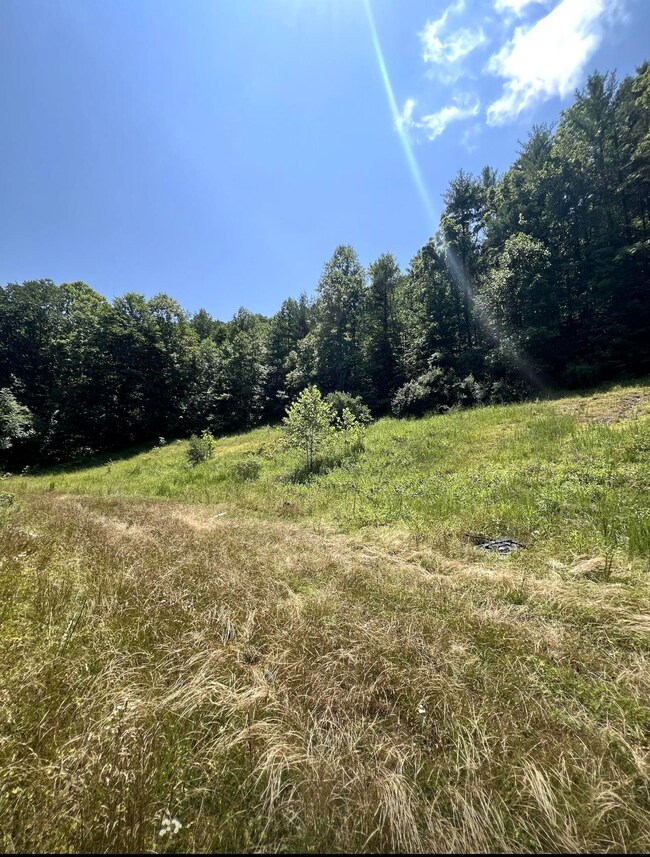 4 Mile Creek 30 25 Acres, Branchland, WV 25506 - photo 2