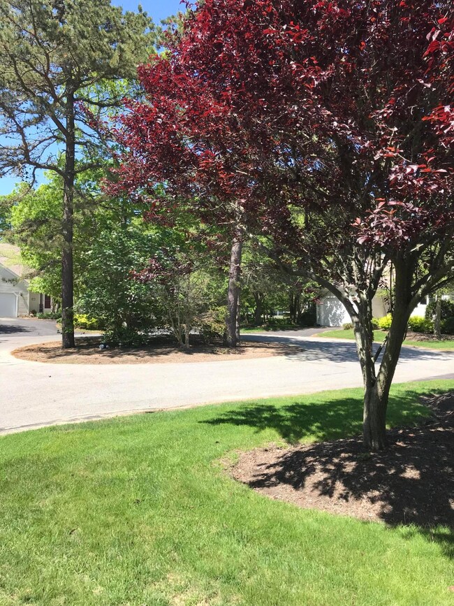 2 Friendship Ct, Mashpee, MA 02649 - photo 2