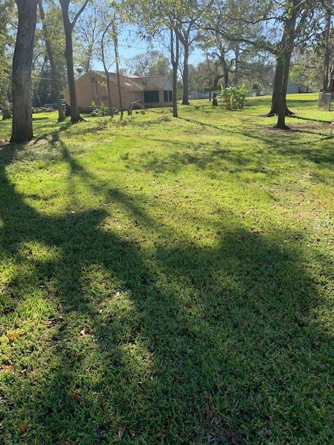 3113 County Road 510k, Brazoria, TX 77422 - photo 5