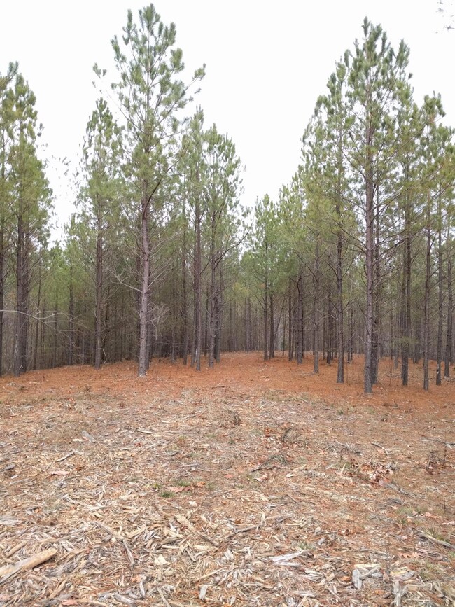 0 Bear Trace Dr unit 1268369, Jasper, TN 37347 - photo 5