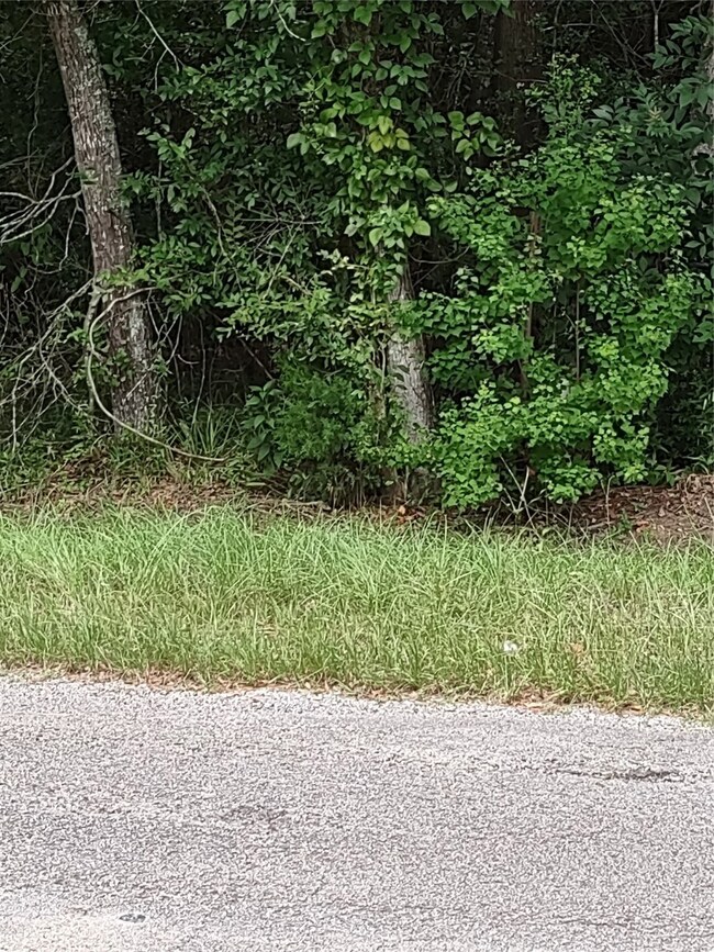 26721 Apache Trail, Magnolia, TX 77354 - photo 4