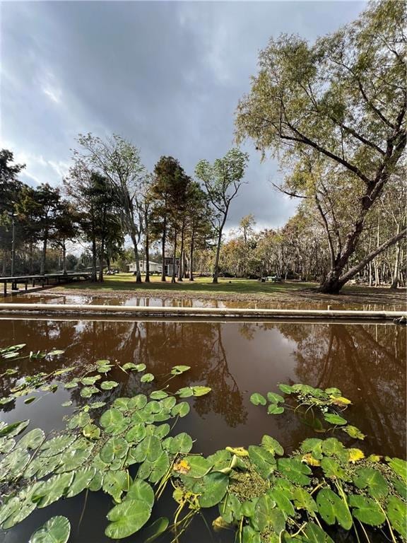 0 Blind River Camp 85 None unit 2530711, St. James, LA 70086 - photo 6