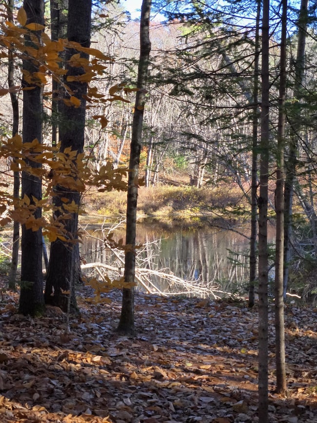 31 Sand Rd, Naples, ME 04055 - photo 5