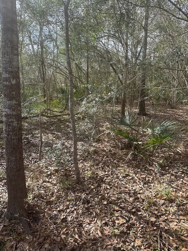 0 County Road 510u, Brazoria, TX 77422 - photo 3