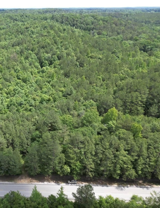 00 US Hwy 278, Haleyville, AL 35565 - photo 2