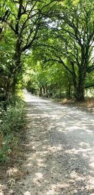 0000 Cr 4230, Bonham, TX 75418 - photo 5