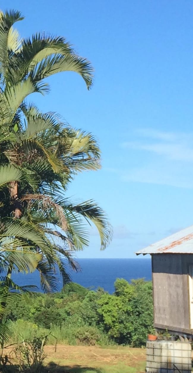 Lower Nahiku Rd, Hana, HI 96713 - photo 4