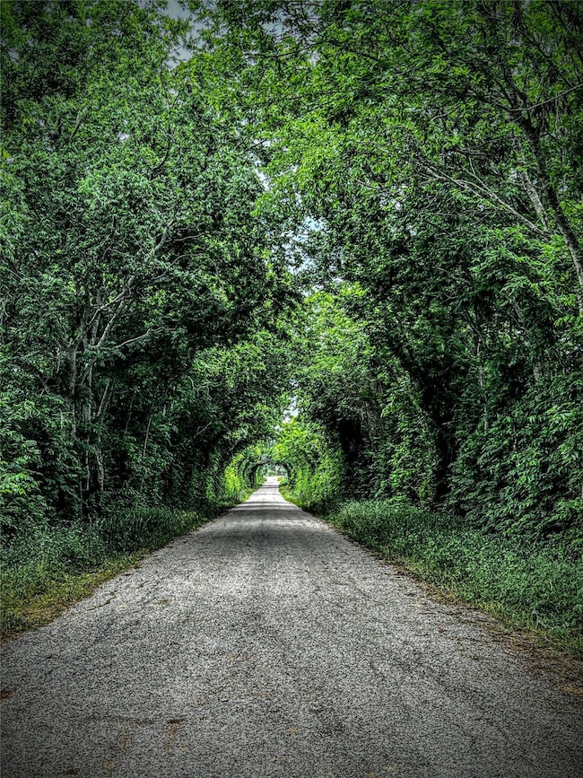 003 Old Phillipsburg Rd, Brenham, TX 77833 - photo 5