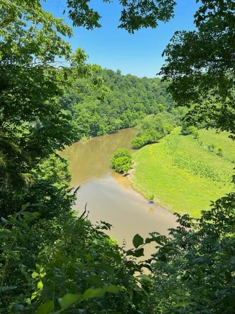 Water View: 140 Meadowlake (6)
